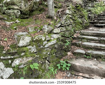 A rustic forest scene with a wooden railing along a moss-covered stone wall. The lush green moss and dense trees create a peaceful, natural atmosphere, ideal for themes of hiking, nature, and outdoor  - Powered by Shutterstock