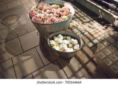 Rustic galvanised pails filled with summer flowers