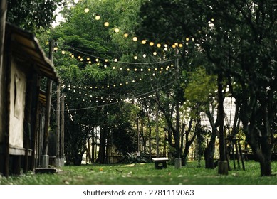 Rustic garden string light outdoor party forest wedding evening celebration green tree summer night backyard decor festival ambiance cozy atmosphere