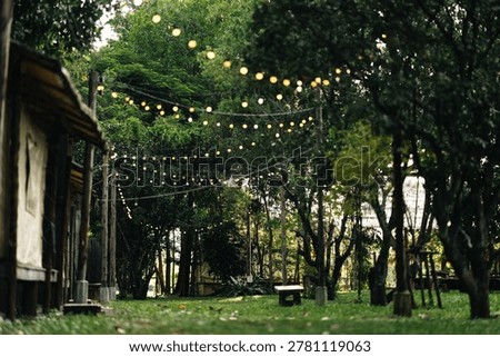Rustic garden string light outdoor party forest wedding evening celebration green tree summer night backyard decor festival ambiance cozy atmosphere