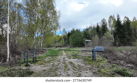 Rustic gated forest path with birch and pine trees under cloudy sky, grassy track with dandelions and gravel, mailbox on gate post
