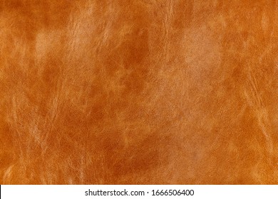 Rustic ginger smooth natural leather in small grain textured background