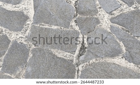 Rustic grey flagstone paving with irregular shapes and rough textures, set with light-colored mortar, forming a durable and natural outdoor surface..