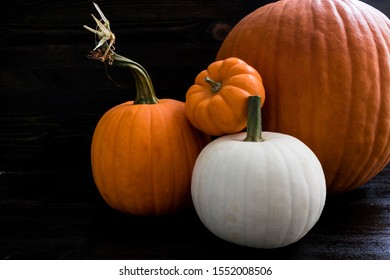 Rustic Grouping of Whole Pumpkins: Group of whole pumpkins of various sizes on a dark wood background