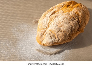 Rustic homemade bread loaf with flour and wheat ears on wooden table