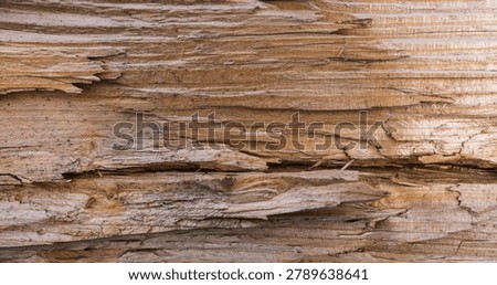 Rustic horizontal banner featuring a deeply cracked and ripped light brown wood surface, torn timber showing rough horizontal grain and broken wood fibers