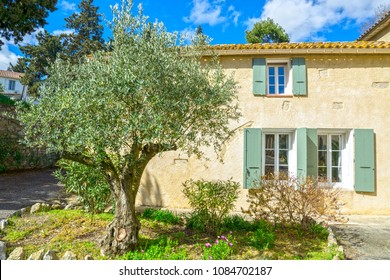 Rustic House And Olive Tree In Southern France