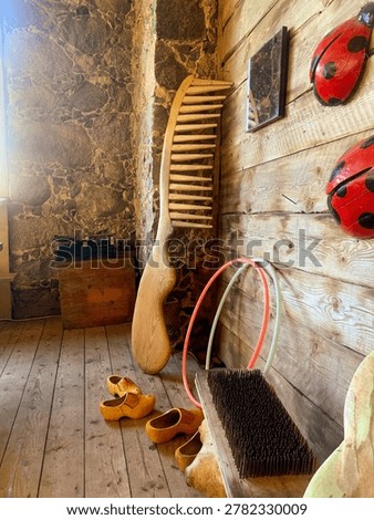 Rustic Interior With Wooden Brushes and Ladybug Decorations