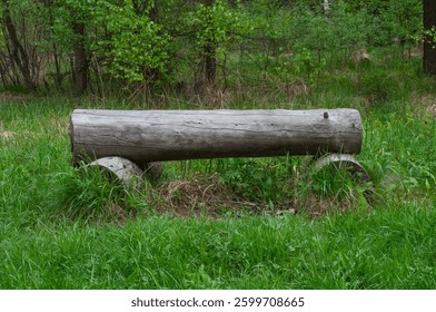 Rustic log bench for rest among green grass in spring forest