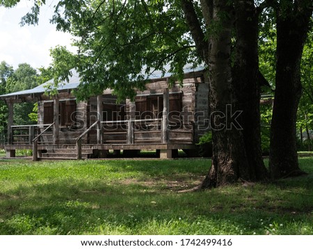A rustic log cabin behind a grouping of tall trees.