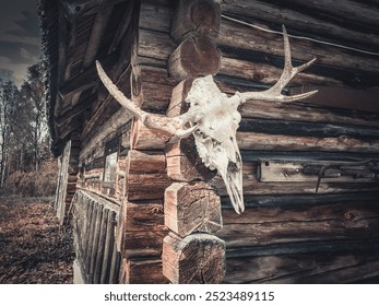 A rustic log cabin with a mounted deer skull and antlers on the corner, creating a rugged, vintage atmosphere. The weathered wood and natural textures of the cabin emphasize its outdoorsy, wilderness  - Powered by Shutterstock