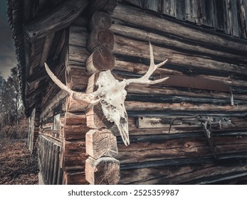 A rustic log cabin with a mounted deer skull and antlers on the corner, creating a rugged, vintage atmosphere. The weathered wood and natural textures of the cabin emphasize its outdoorsy, wilderness  - Powered by Shutterstock