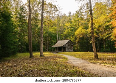A rustic log cabin in a serene forest setting during autumn with a winding path leading to it, surrounded by colorful trees.