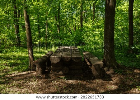 Rustic Log Picnic Table with Two Benches in a Bright Green Spring Forest