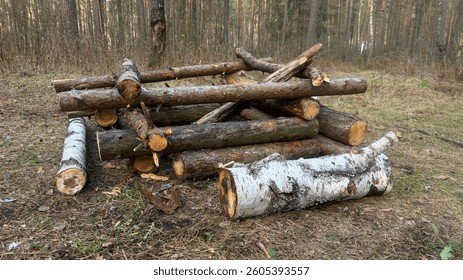 Rustic Log Structure for fire in the Forest Clearing