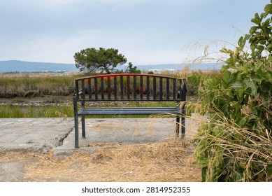 A rustic metal bench splashed with red paint faces a marshland of golden reeds and still water, with a solitary pine tree standing on the horizon. The scene captures quiet solitude at the edge of a wildlife refuge under a soft overcast sky.