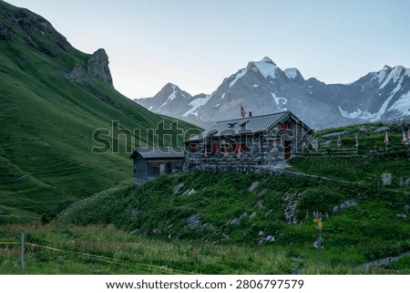 Rustic mountain cabin on green hillside with snowcapped peaks and summer wildflowers in the Swiss Alps at dusk.