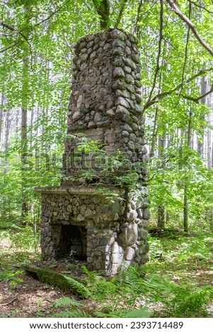 Rustic old abandoned fireplace from 1940's POW camp in the Chippewa National Forest, northern Minnesota USA