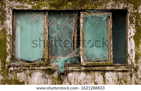 Rustic and old background looks shallow with moss lichens wear abandoned old window