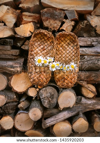 Rustic old Bast shoes and chamomile flowers on wooden background of firewood. vintage traditional national Russian footwear made from bark of tree  - Lapti, bast sandals