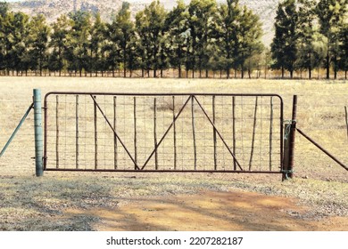 Rustic Old Farm Gate To Open Grass Field With Pine Trees 