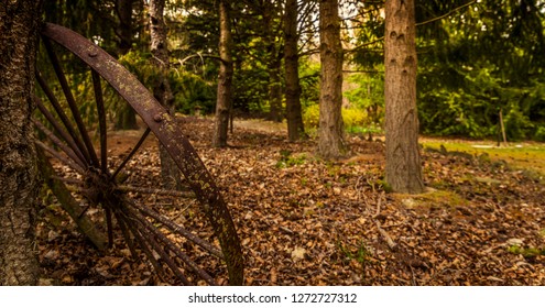 A rustic old iron wagon wheel covered in moss leans against a tree abandoned in a woods or forest with a ground cover of fallen autumn leaves. - Powered by Shutterstock