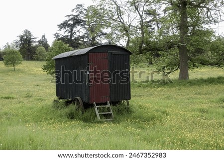 rustic old shepherds hut in the english countryside amongst the buttercups