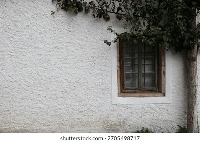 Rustic Old Window on a White Stucco Wall with Tree Branches