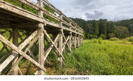 Rustic Old Wooden Bridge Structure with Lichen over Green Field Near Forest