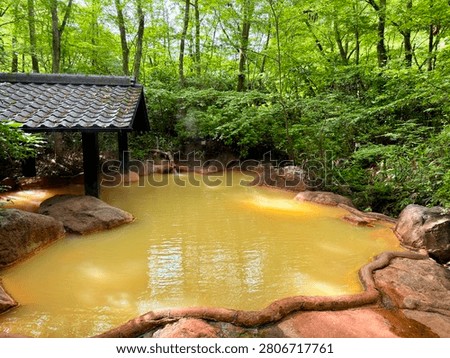 The rustic open air hot spring bath with muddy orange mineral water surrounded by green trees at Ukenokuchi Onsen in Kokonoe, Oita Prefecture, Japan