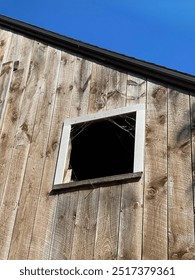 Rustic Open Square Barn Window, framed With Spider Cobwebs, with White Wood Trim, surrounded by Rough Wood Vertical Siding on the Barn, framed against a Bright Blue Clear Sky