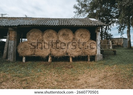 Rustic open-sided barn stacked with round hay bales under a corrugated roof, set on a grassy field with farm equipment and trees in the background, evoking rural life and agriculture