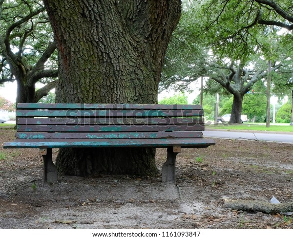 Rustic Park Bench Huge Tree Trunk Stock Photo Edit Now 1161093847