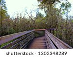Rustic photo of the ever winding trails of Sawgrass Lake Park in Pinellas Park, FL.