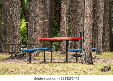 Rustic picnic table and benches in pine forest recreation area