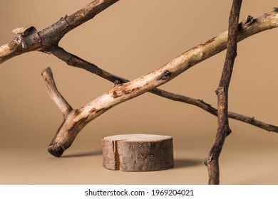 Rustic Podium Of Cylinder Shape, And Dried Branches On Beige Background. Product, Cosmetic, Perfume, Jewellery Mock Up.