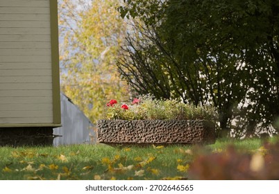 A rustic, rectangular stone planter with flowers, sitting in a garden with fallen autumn leaves