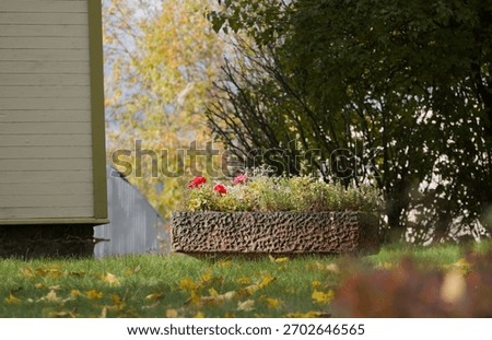 A rustic, rectangular stone planter with flowers, sitting in a garden with fallen autumn leaves
