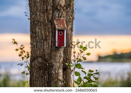 Rustic red birdhouse attached to tree at dusk