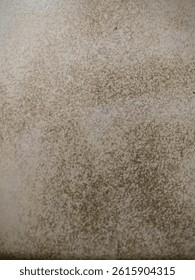 A rustic rough back drop