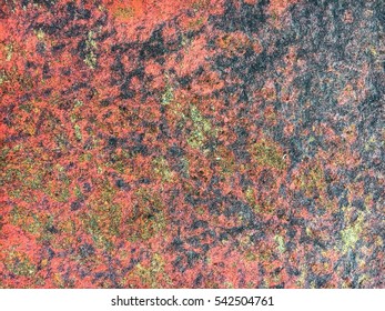 Rustic Sandstone Texture