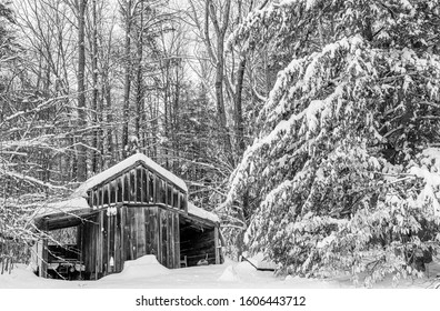 Rustic Snow Covered Shed In The New England Winter