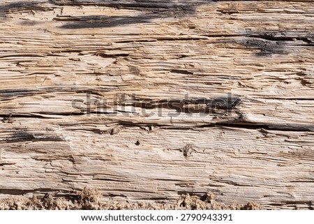 rustic split wood log background
