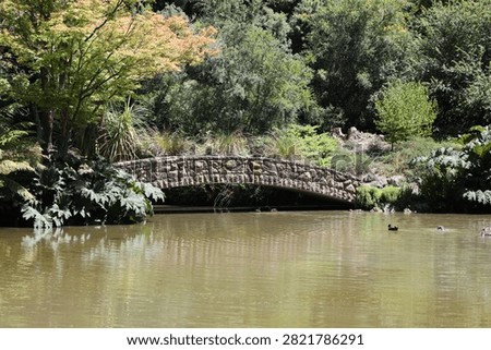 rustic stone arch bridge spanning placid pond against dense forest, foliage in full sunshine (wide-angle, landscape)
