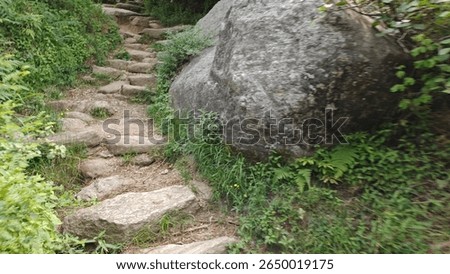 A rustic stone pathway winds through lush green foliage, culminating near a large, imposing boulder. The image evokes a serene, natural mood, ideal for travel,