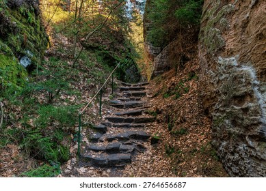 Rustic stone staircase in tranquil forest path amidst moss-covered rocks and autumn leaves.