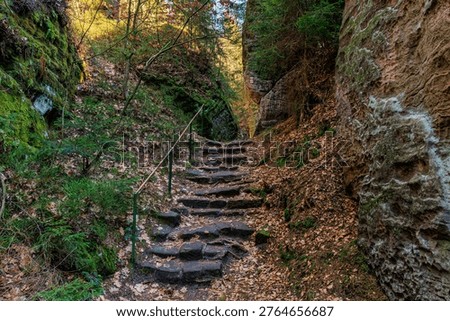 Rustic stone staircase in tranquil forest path amidst moss-covered rocks and autumn leaves.