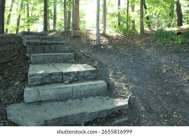 Rustic Stone Steps Ascending into a Sun-Dappled Forest - Powered by Shutterstock - Get 15% off with code: PIKWIZARD15