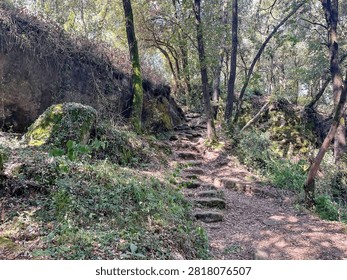 Rustic stone steps leading up a dirt hiking trail through a lush green Mediterranean forest