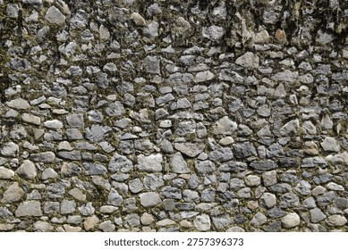 Rustic Stone Wall Texture with Moss